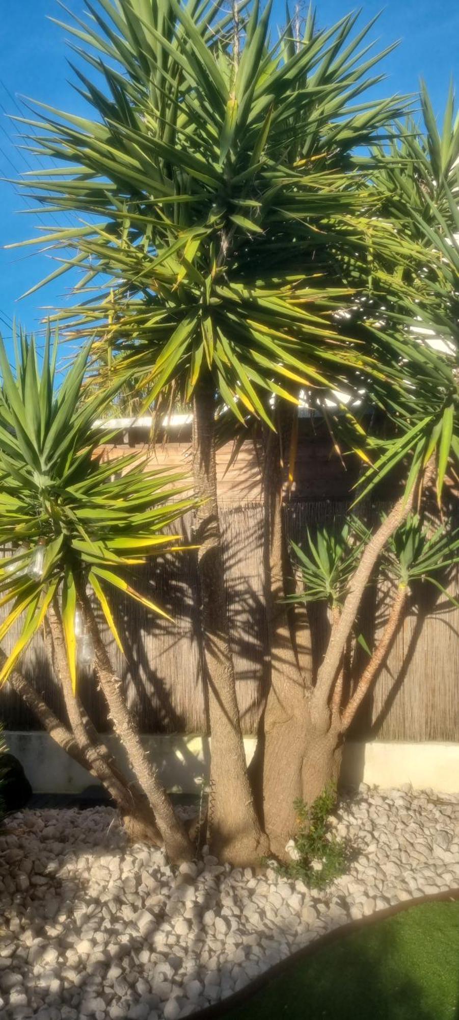 Hébergement de vacances Maison De Bord De ,hyeres, 3 Chambres, Jardin, Calme *